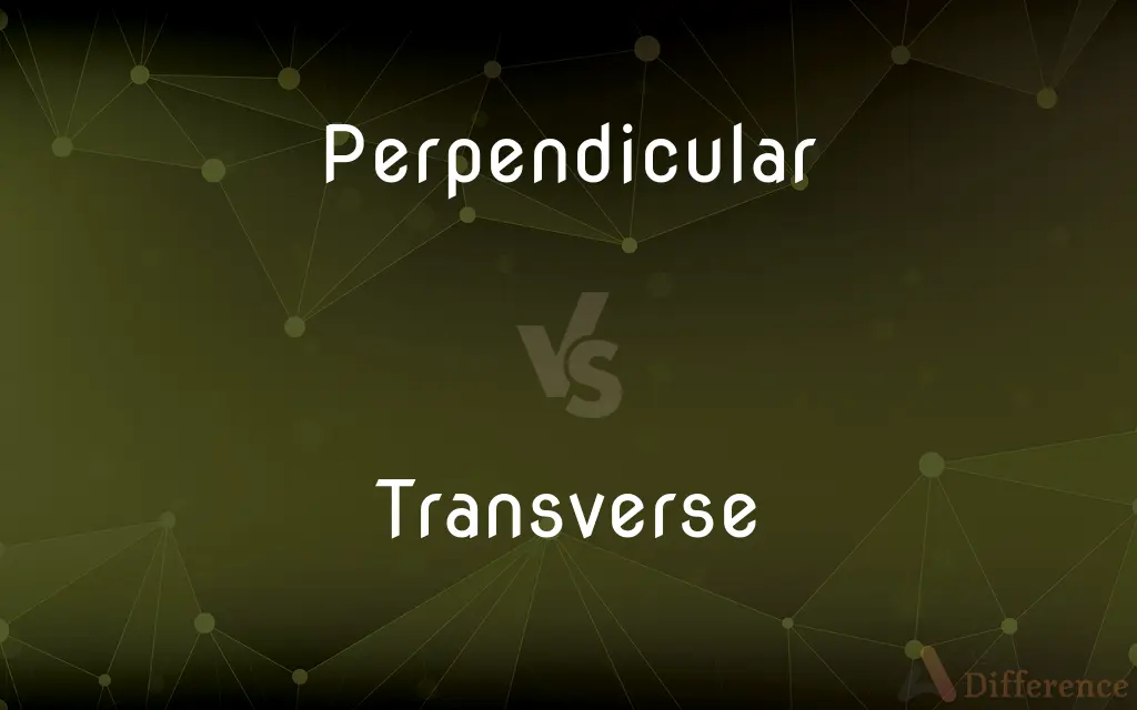 Perpendicular vs. Transverse — What's the Difference?