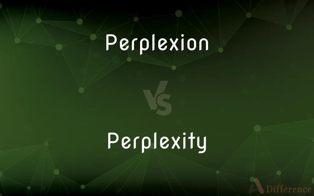 Perplexion vs. Perplexity — Which is Correct Spelling?