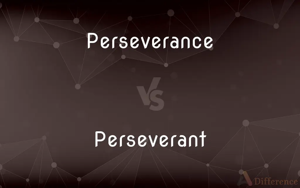 Perseverance vs. Perseverant — What's the Difference?