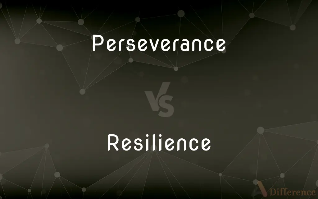 Perseverance vs. Resilience — What's the Difference?