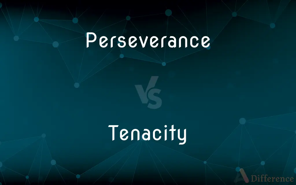 Perseverance vs. Tenacity — What's the Difference?