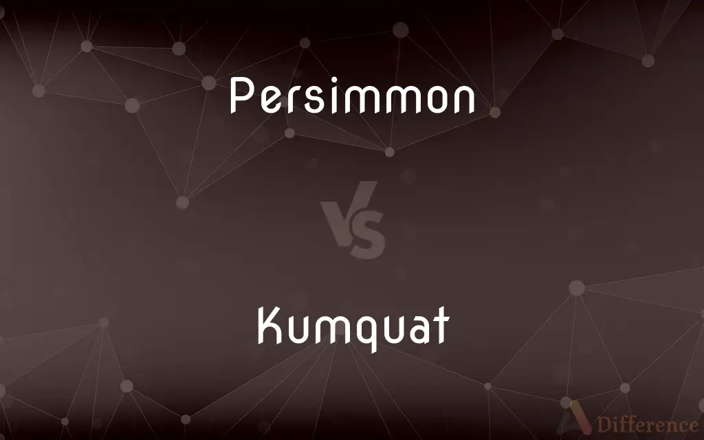 Persimmon vs. Kumquat — What's the Difference?