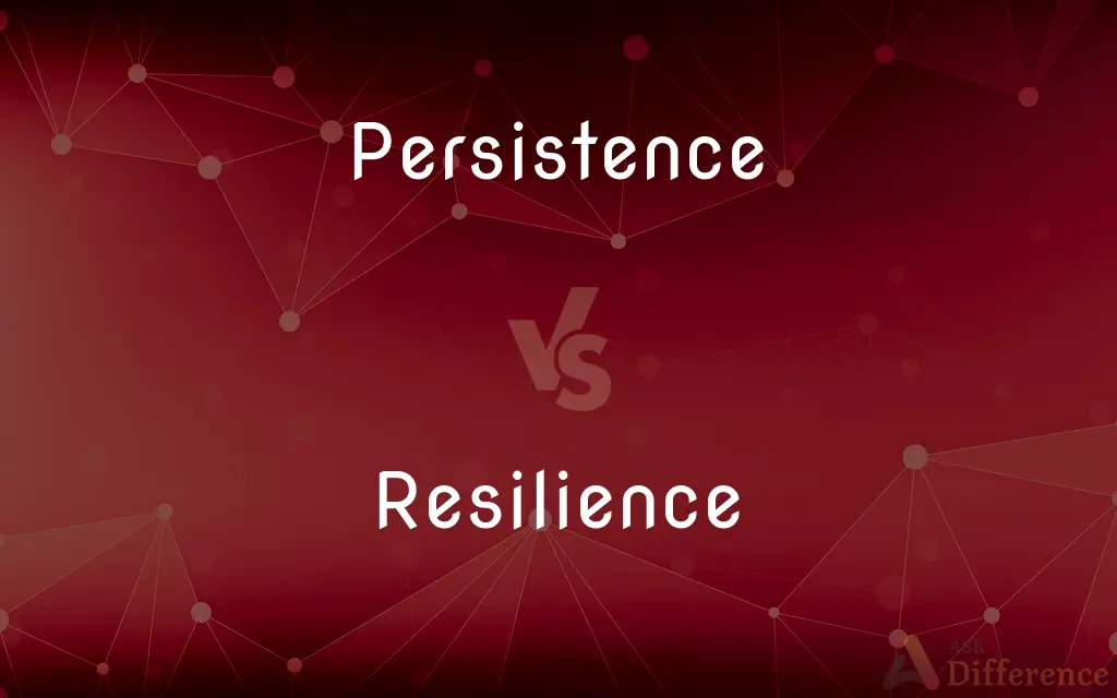 Persistence vs. Resilience — What's the Difference?