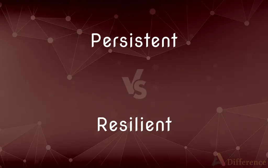 Persistent vs. Resilient — What's the Difference?