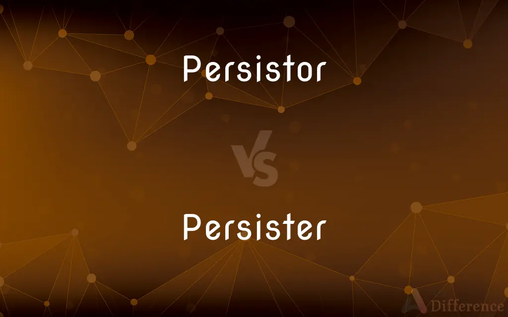 Persistor vs. Persister — What's the Difference?