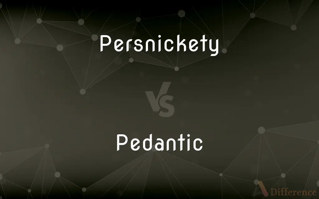 Persnickety vs. Pedantic — What's the Difference?