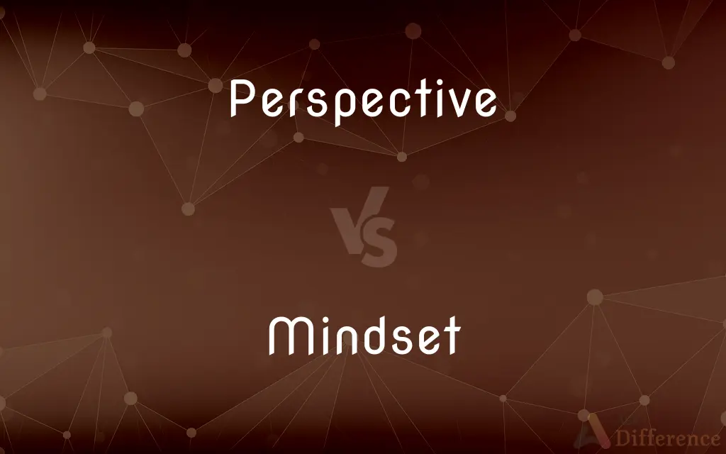 Perspective vs. Mindset — What's the Difference?