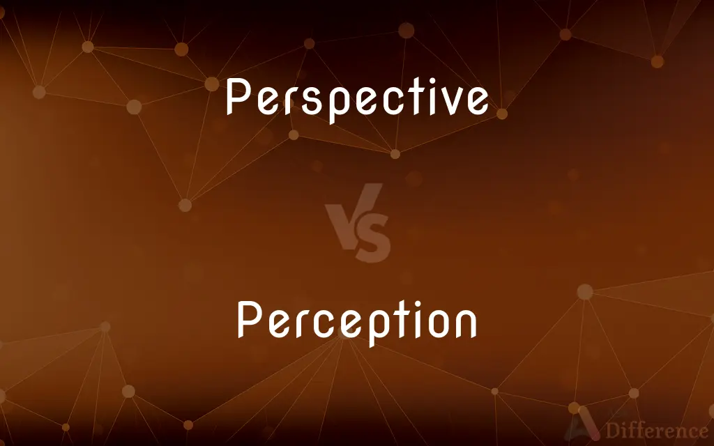Perspective vs. Perception — What's the Difference?