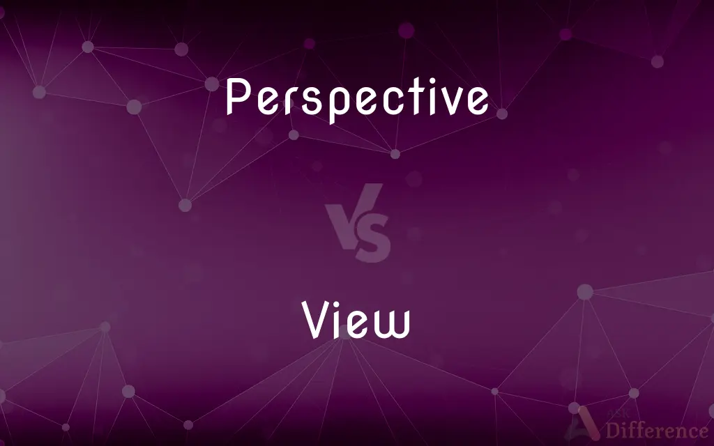 Perspective vs. View — What's the Difference?