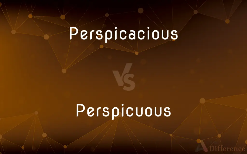 Perspicacious vs. Perspicuous — What's the Difference?