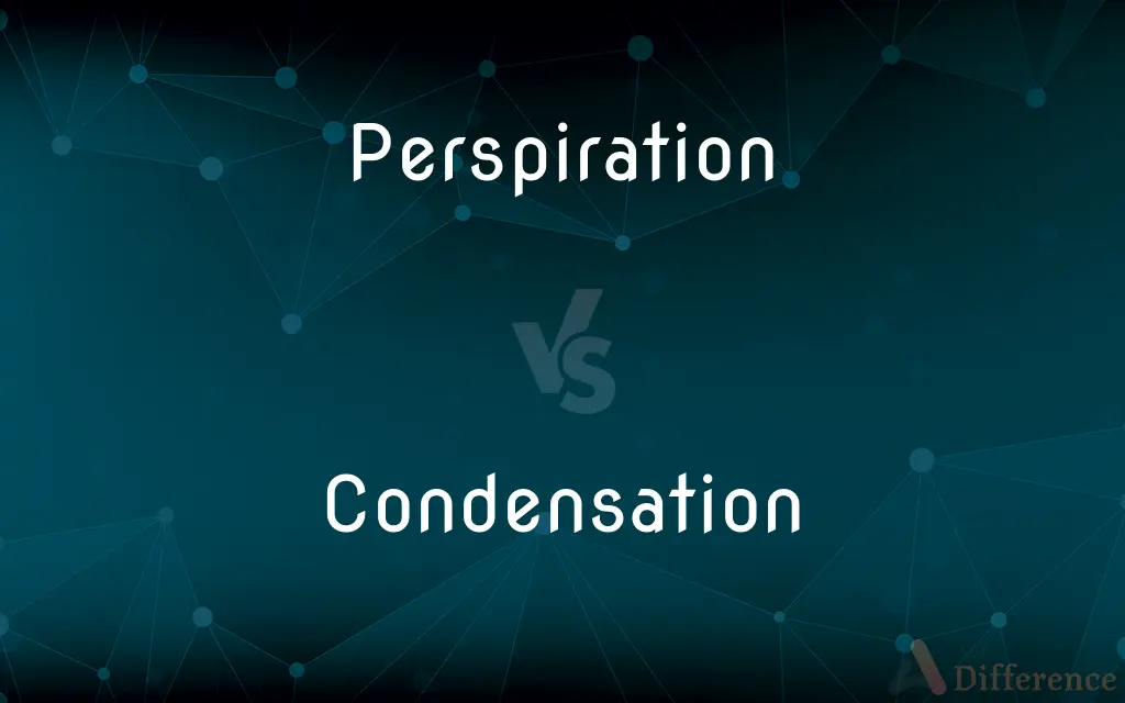 Perspiration vs. Condensation — What's the Difference?