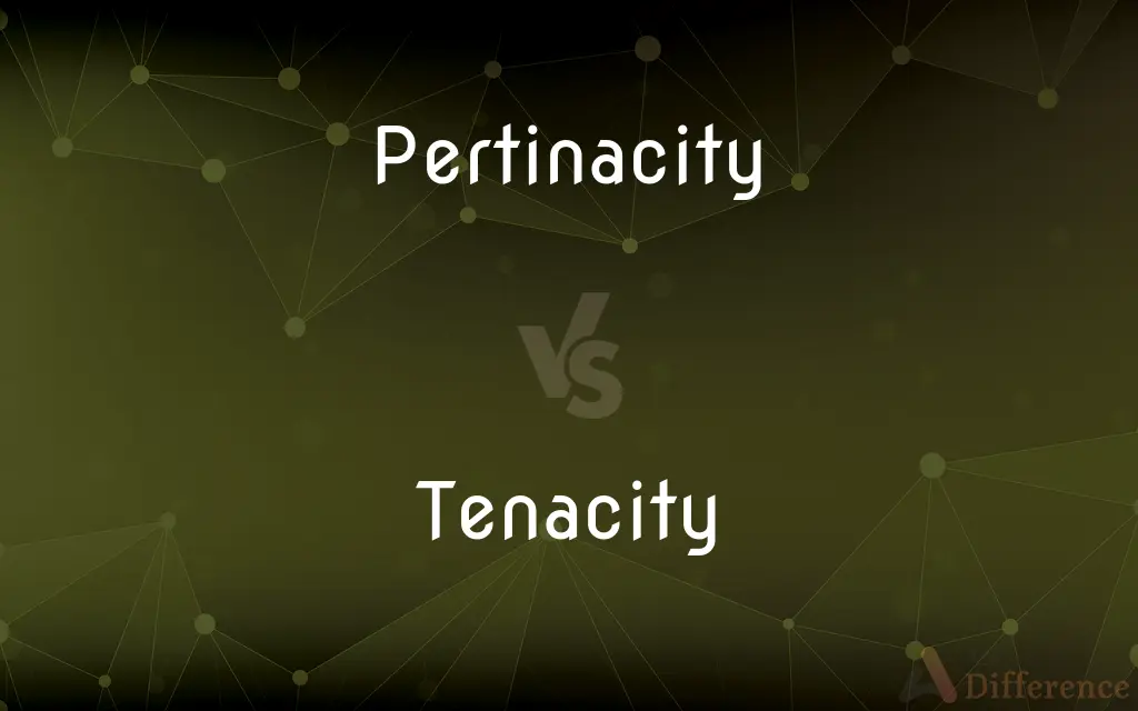 Pertinacity vs. Tenacity — What's the Difference?