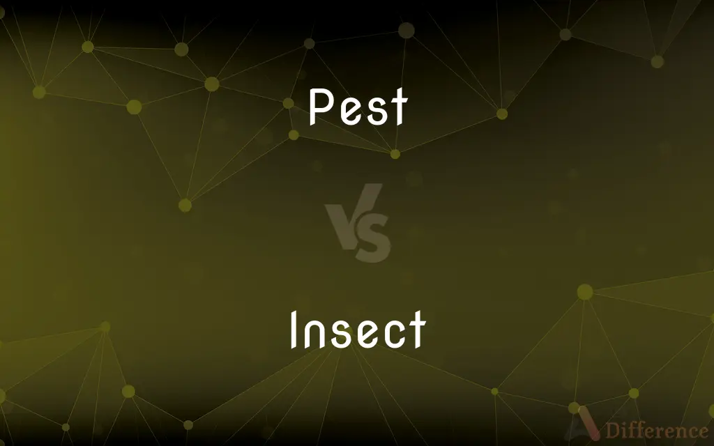 Pest vs. Insect — What's the Difference?