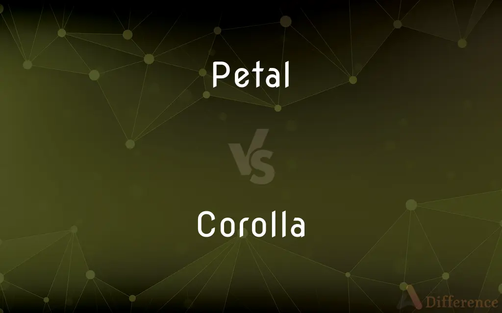 Petal vs. Corolla — What's the Difference?