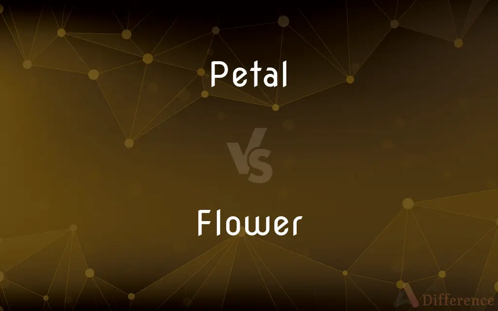 Petal vs. Flower — What's the Difference?
