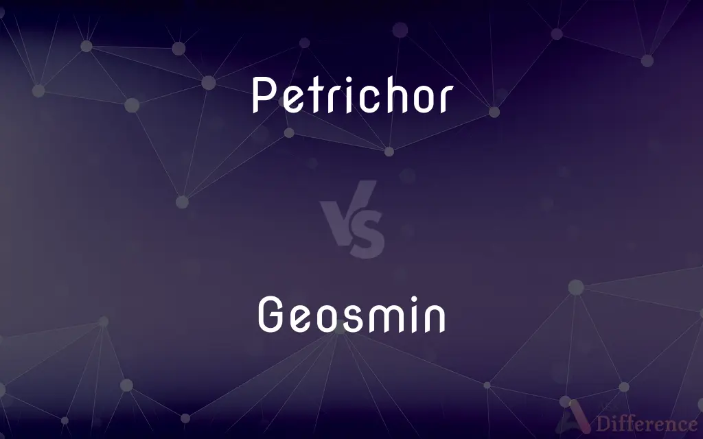 Petrichor vs. Geosmin — What's the Difference?