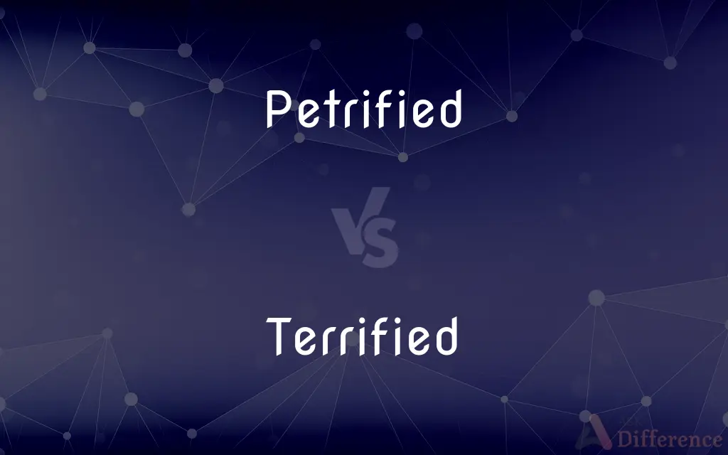 Petrified vs. Terrified — What's the Difference?