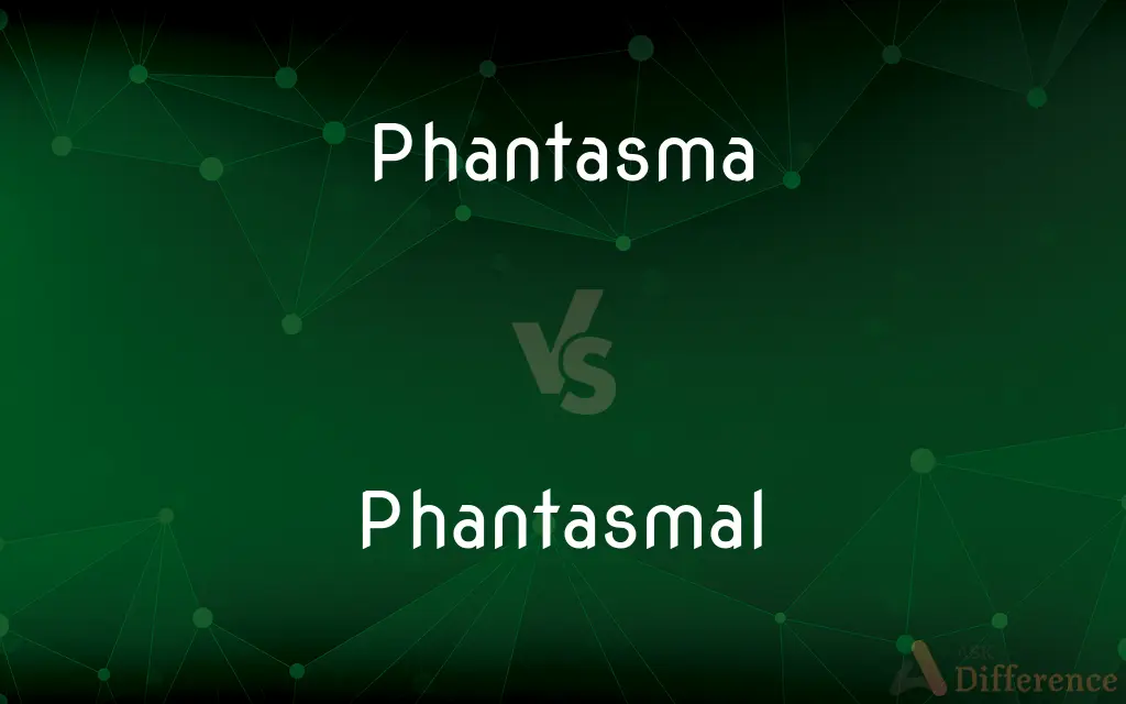 Phantasma vs. Phantasmal — What's the Difference?