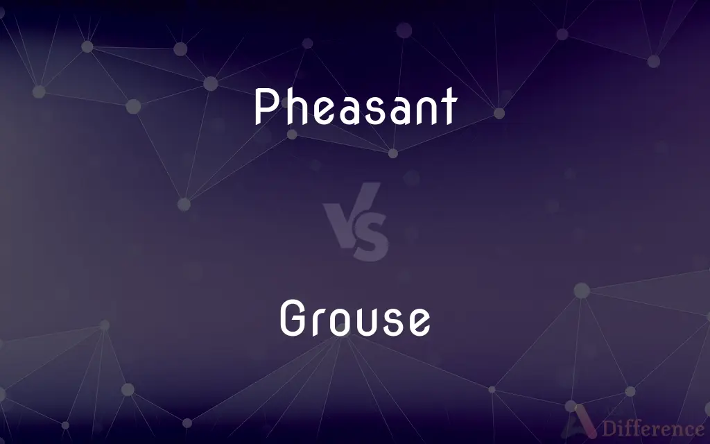 Pheasant vs. Grouse — What's the Difference?