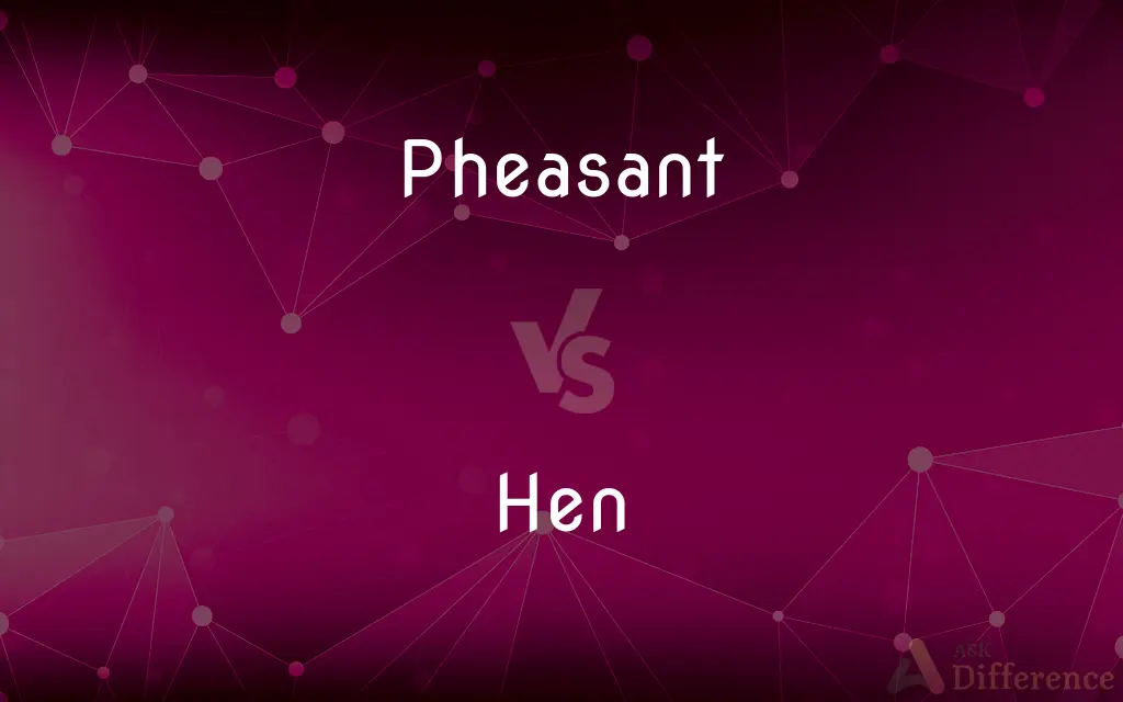 Pheasant vs. Hen — What's the Difference?