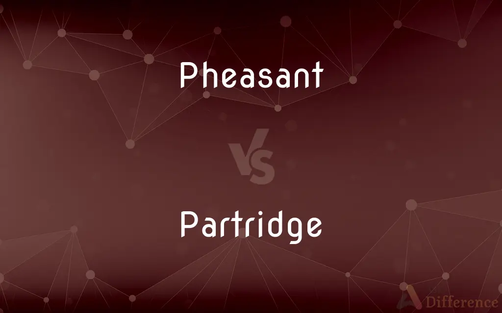 Pheasant vs. Partridge — What's the Difference?