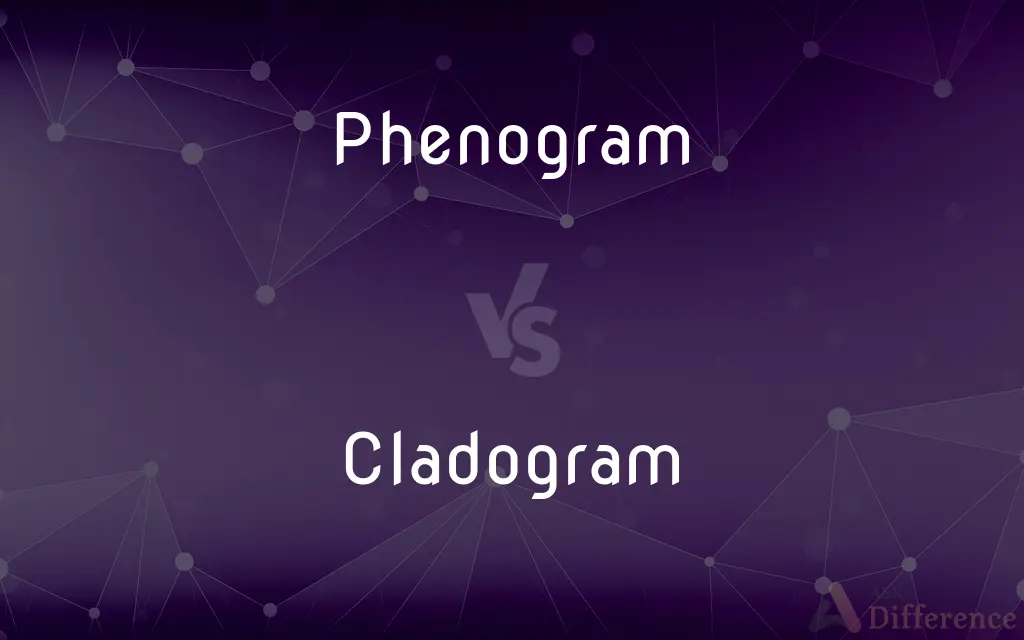 Phenogram vs. Cladogram — What's the Difference?