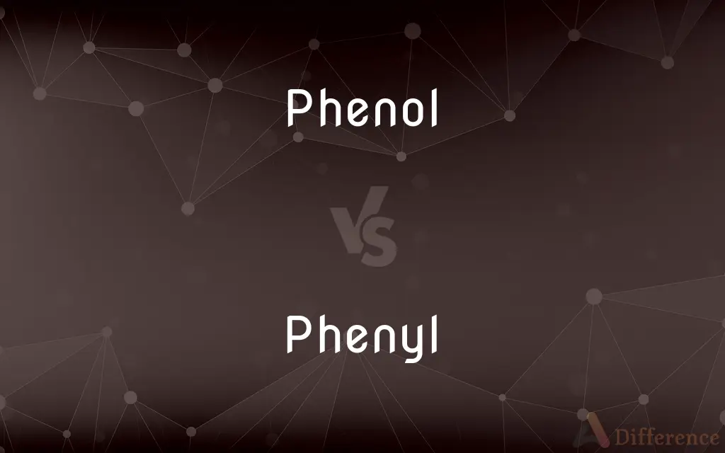 Phenol vs. Phenyl — What's the Difference?
