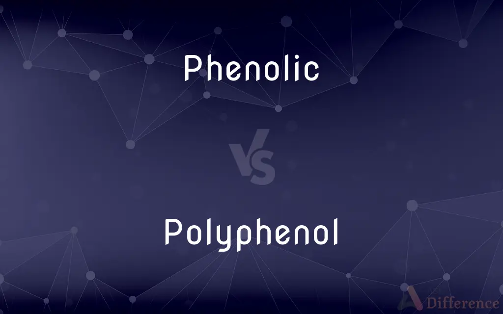 Phenolic vs. Polyphenol — What's the Difference?
