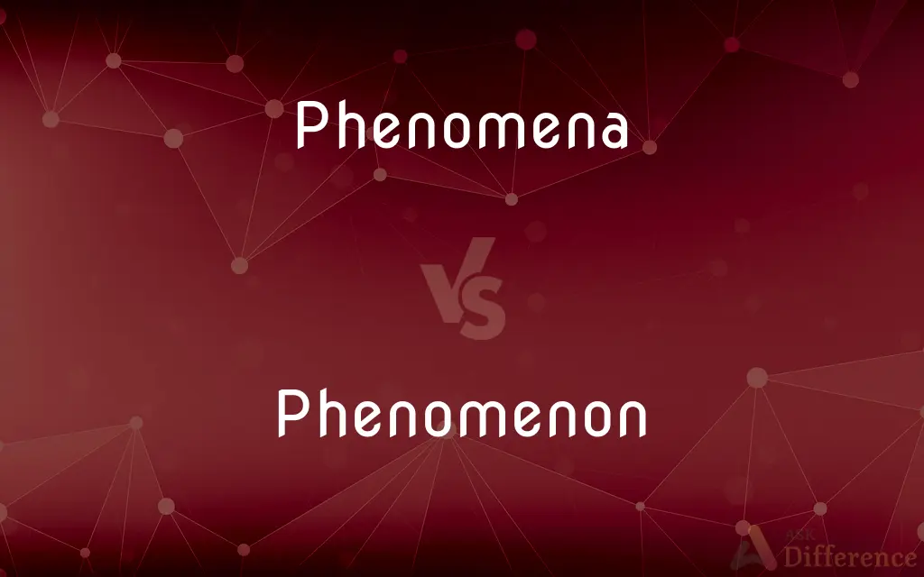 Phenomena vs. Phenomenon — What's the Difference?