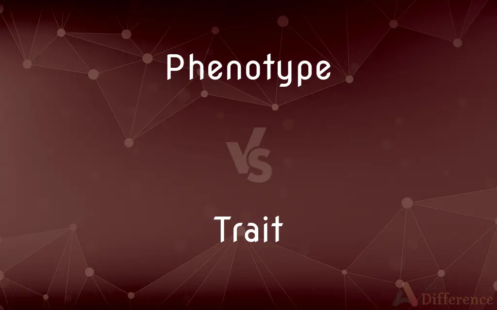 Phenotype vs. Trait — What's the Difference?