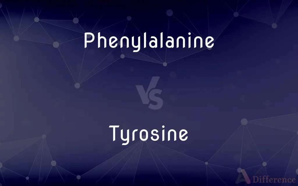 Phenylalanine vs. Tyrosine — What's the Difference?