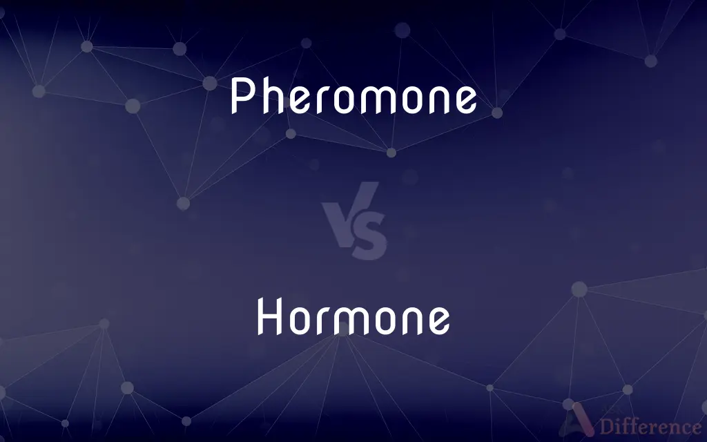 Pheromone vs. Hormone — What's the Difference?