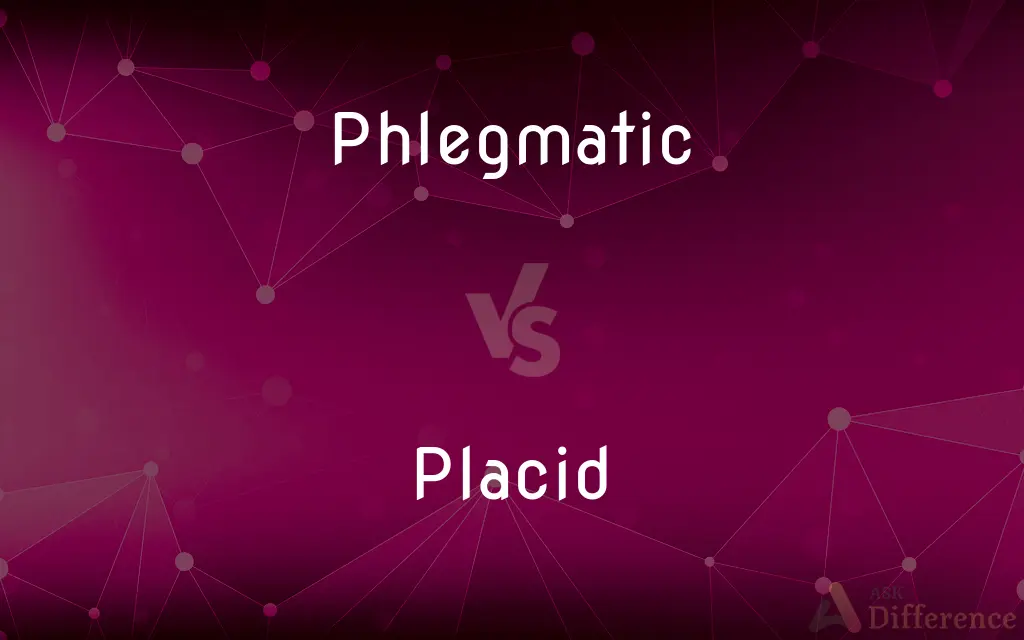 Phlegmatic vs. Placid — What's the Difference?