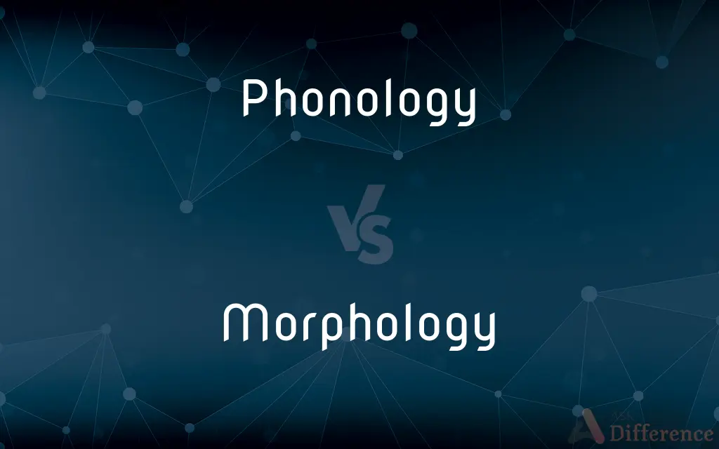 Phonology vs. Morphology — What's the Difference?