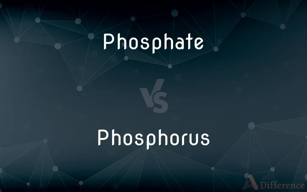 Phosphate vs. Phosphorus — What's the Difference?