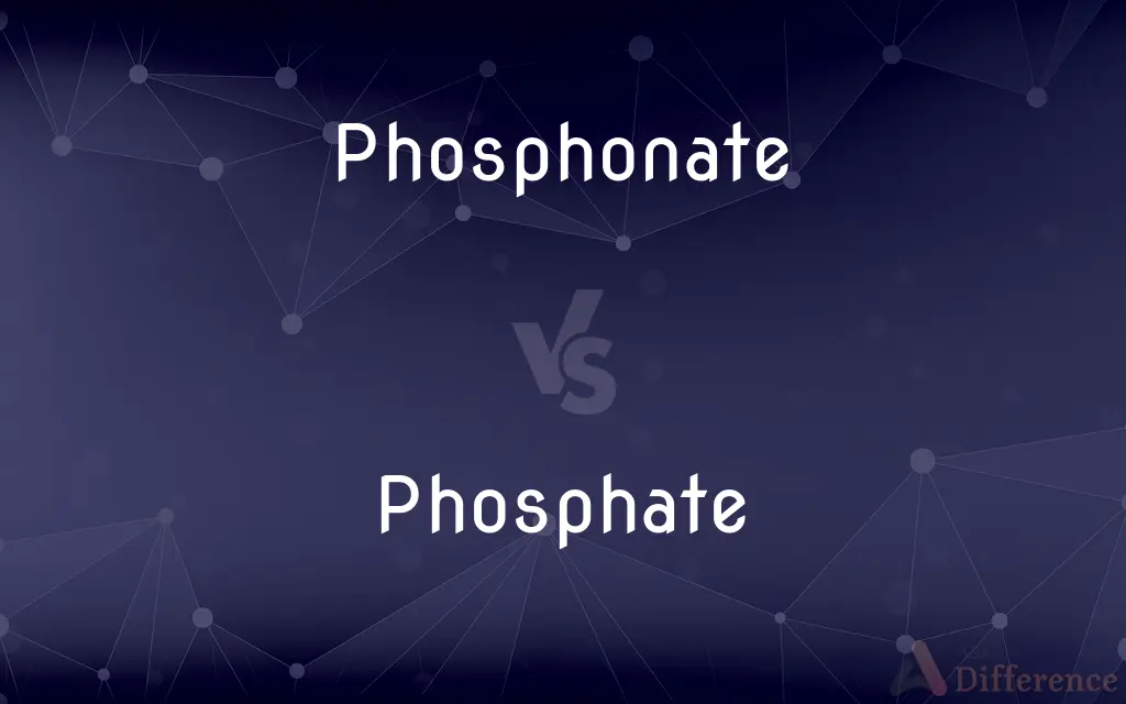 Phosphonate vs. Phosphate — What's the Difference?