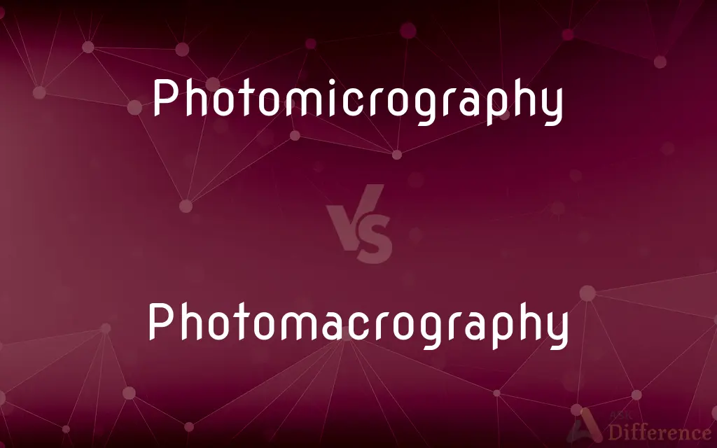 Photomicrography vs. Photomacrography — What's the Difference?