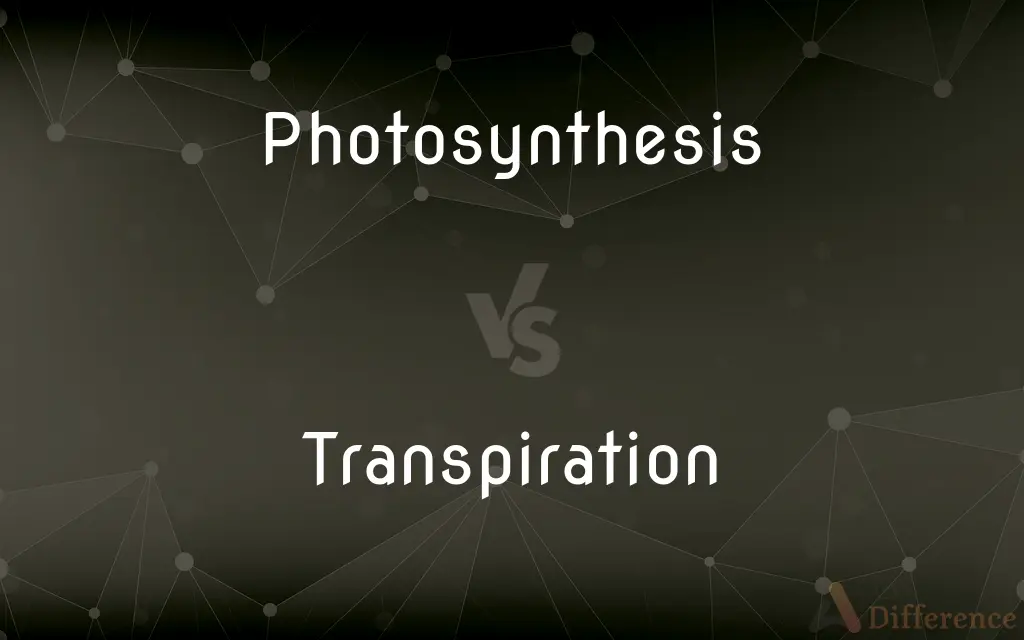 Photosynthesis vs. Transpiration — What's the Difference?