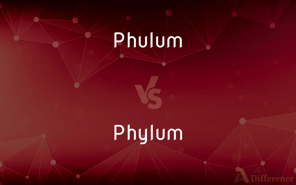 Phulum vs. Phylum — Which is Correct Spelling?