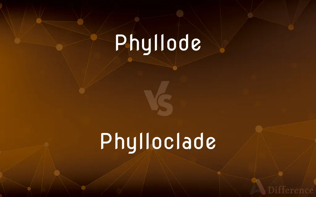 Phyllode vs. Phylloclade — What's the Difference?