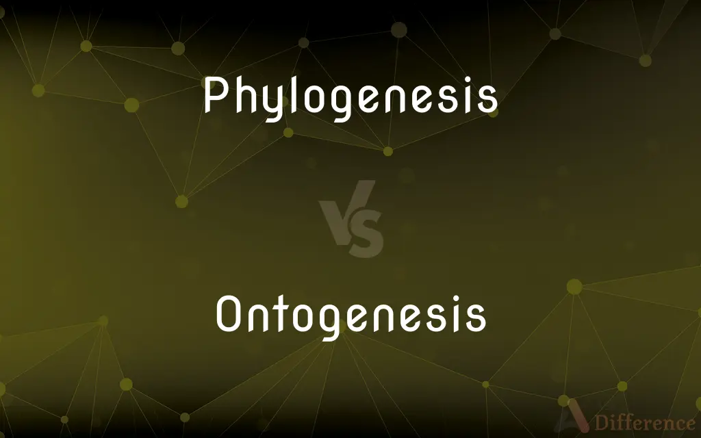 Phylogenesis vs. Ontogenesis — What's the Difference?