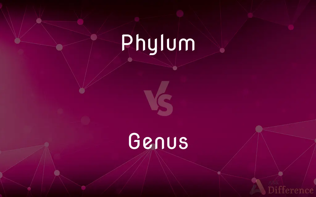 Phylum vs. Genus — What's the Difference?