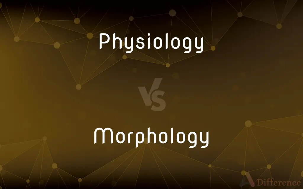 Physiology vs. Morphology — What's the Difference?