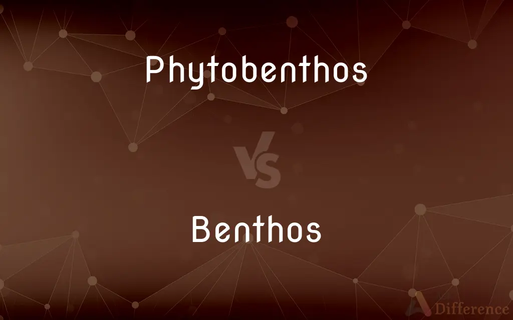 Phytobenthos vs. Benthos — What's the Difference?