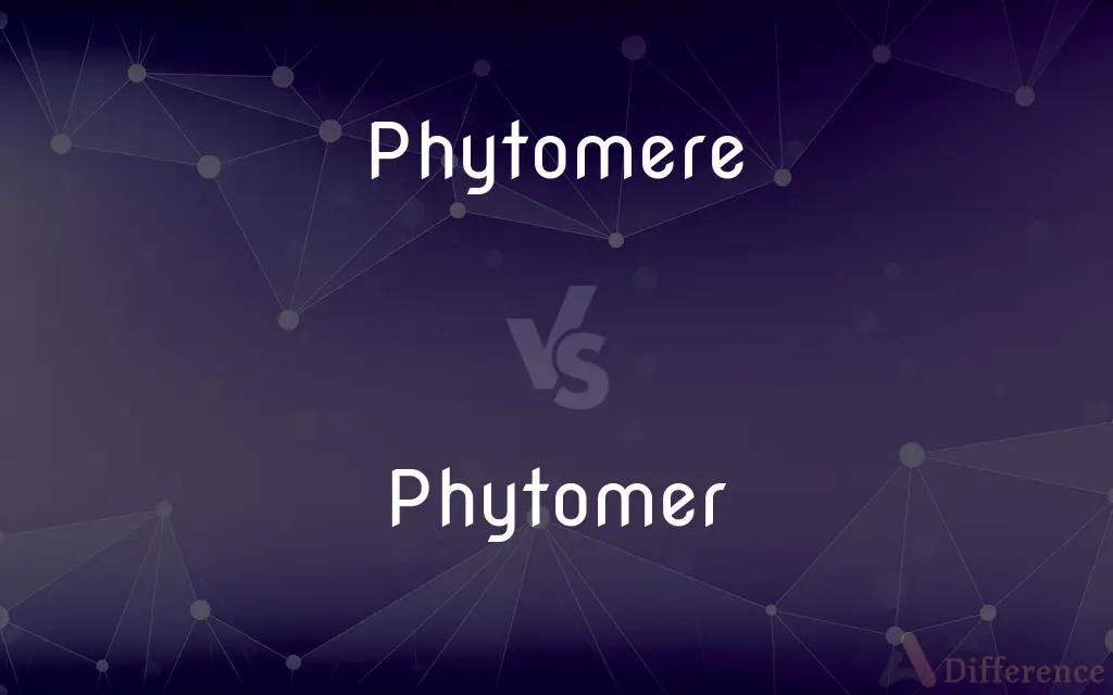 Phytomere vs. Phytomer — What's the Difference?