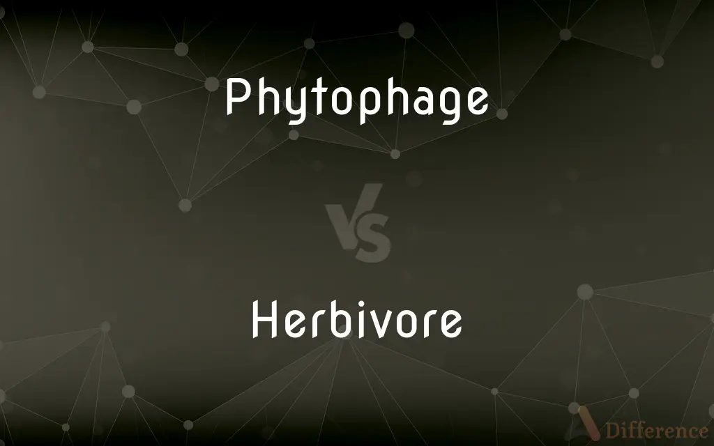 Phytophage vs. Herbivore — What's the Difference?