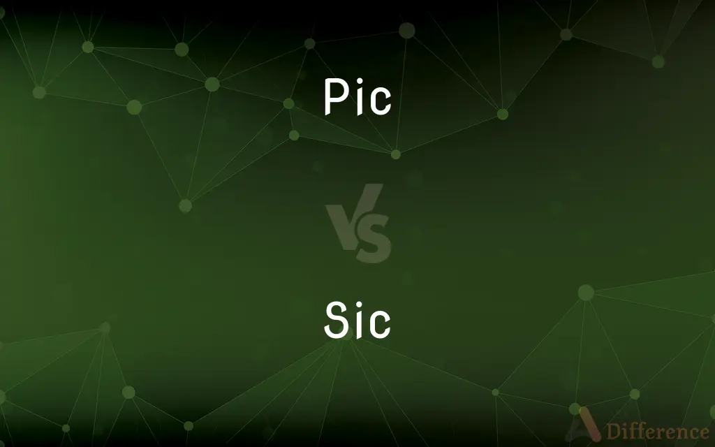 Pic vs. Sic — What's the Difference?