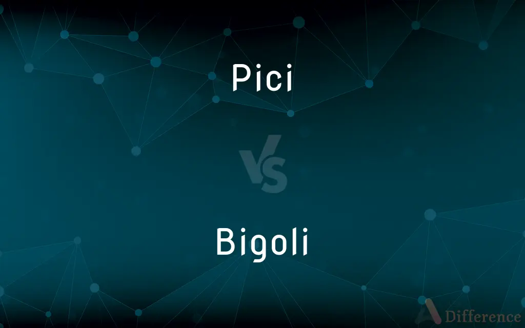 Pici vs. Bigoli — What's the Difference?