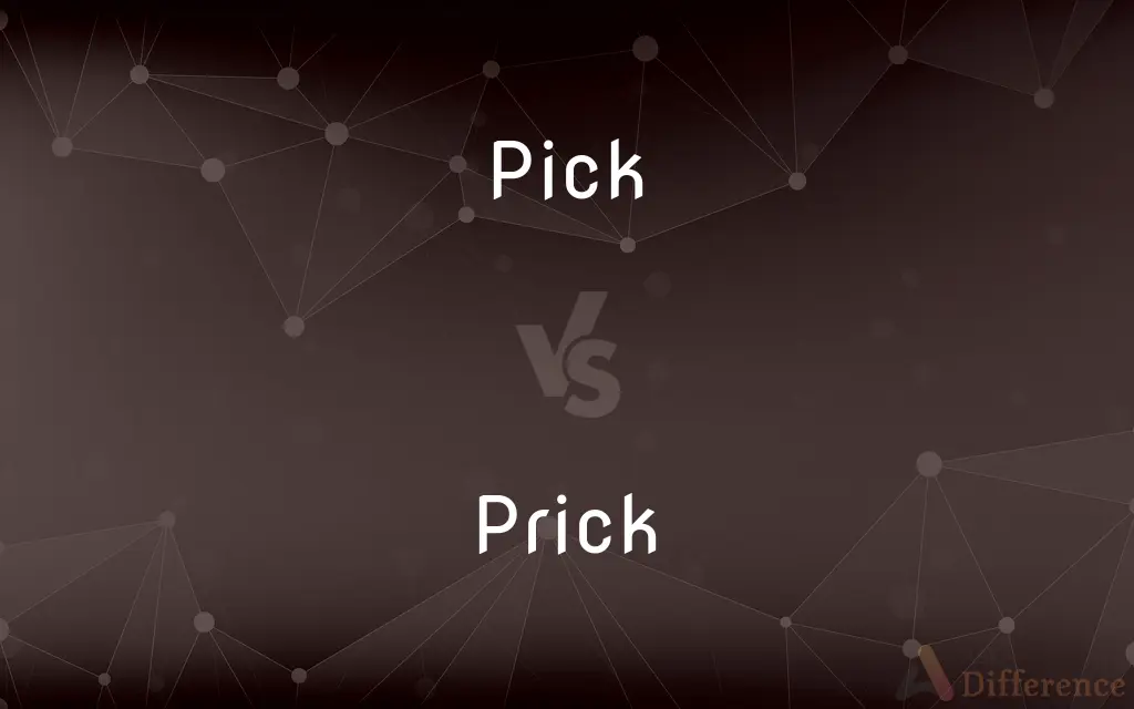 Pick vs. Prick — What's the Difference?