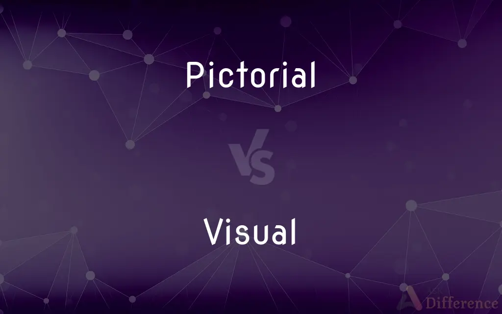 Pictorial vs. Visual — What's the Difference?